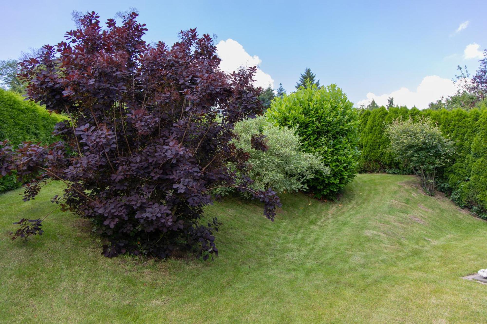 Ferienhaus Moselhoehe -Neu- Traben-Trarbach Luaran gambar