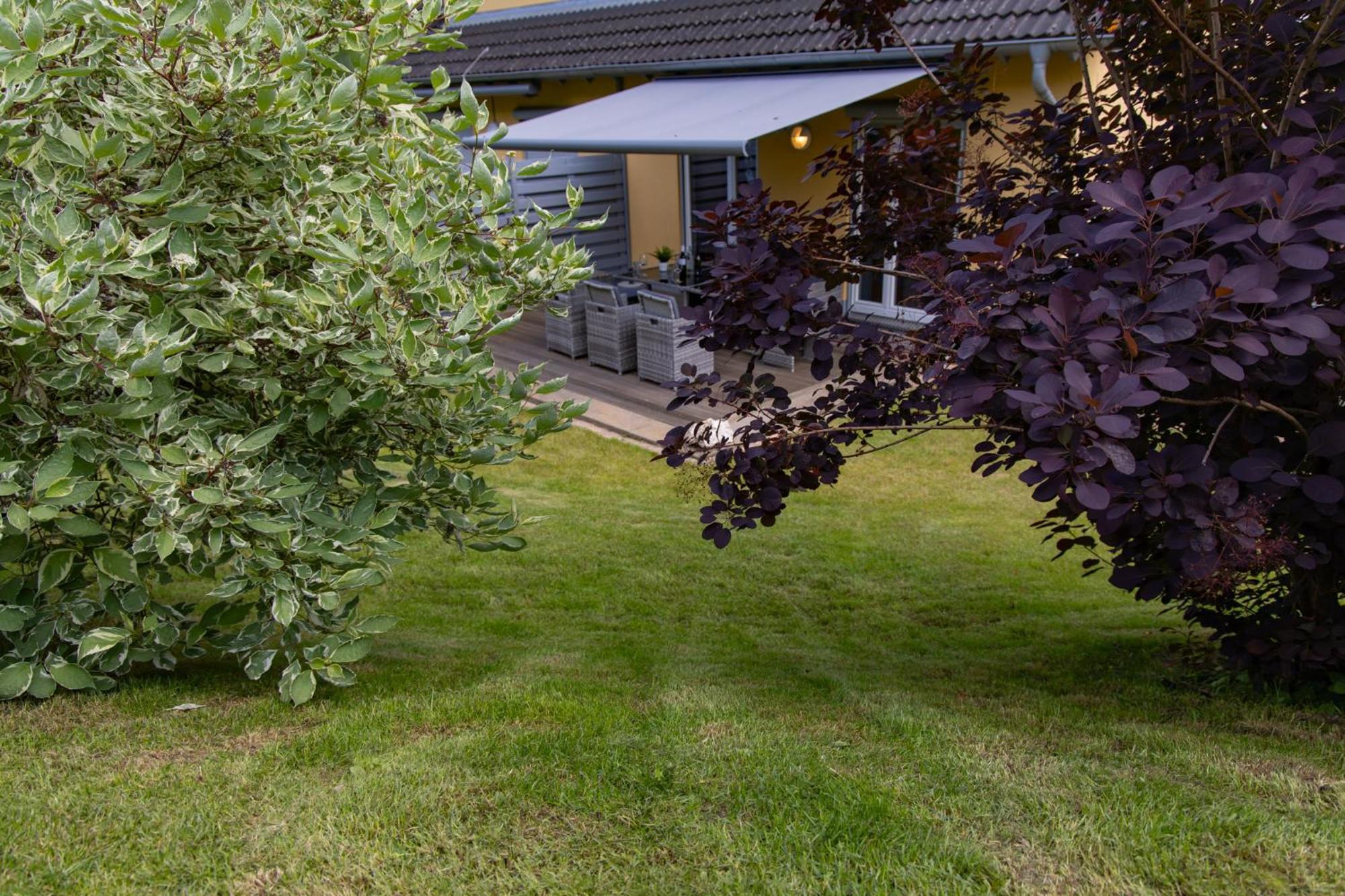 Ferienhaus Moselhoehe -Neu- Traben-Trarbach Luaran gambar